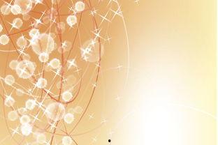 李安梅家庭背景,出身寒门，逆袭人生，揭秘她的家庭背景与奋斗历程