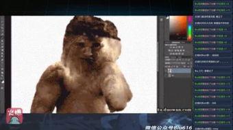 90后真实帅哥生活照,生活照中的青春风采